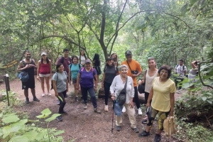 Atardecer en el Parque Bot&aacute;nico municipal trav&eacute;s de una caminata en familia
