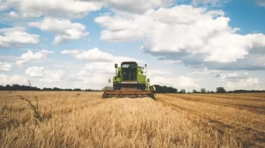 La liquidaci&oacute;n de divisas del campo colaps&oacute; un 50% por la fuerte sequ&iacute;a y la industria tiene altos niveles de capacidad ociosa