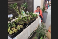 Econom&iacute;a y producci&oacute;n . Contin&uacute;an los "Jueves de Flores y Plantas"
