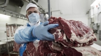 Carne: cu&aacute;les y cu&aacute;nto salen los siete cortes que alcanza el programa