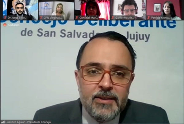 En sesi&oacute;n virtual concejales aprobaron exenciones de impuestos