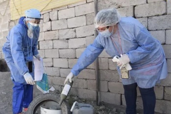 Los huevos del mosquito transmisor del dengue persisten intactos con bajas temperaturas