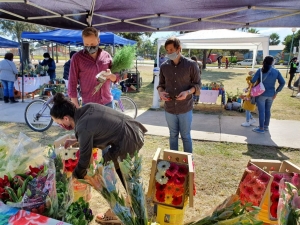 Palpal&aacute; tiene un "Mercado de las flores"