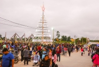 Alto Comedero. Encendieron un imponente &aacute;rbol de Navidad