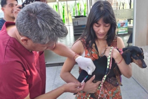 Iniciaron talleres de concientización y prevención de la rabia