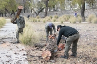 Realizan tareas de mantenimiento en el Parque Xibi-Xibi