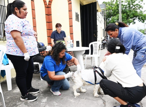 Amplian el cronograma de vacunaci&oacute;n antirr&aacute;bica en la ciudad