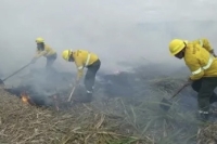 El despliegue del gobierno para combatir los incendios dio resultados positivos