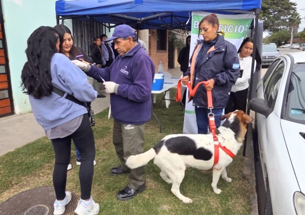 Jornada de vacunaci&oacute;n antirr&aacute;bica en el Barrio Los Perales