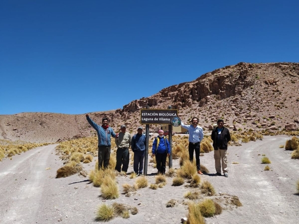 Inauguraron una Reserva Provincial Alto Andina de la Chinchilla