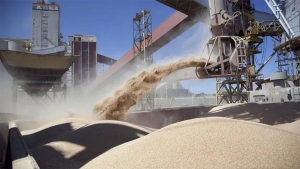 Argentina abri&oacute; un mercado clave para su trigo y para todo el sector cerealero