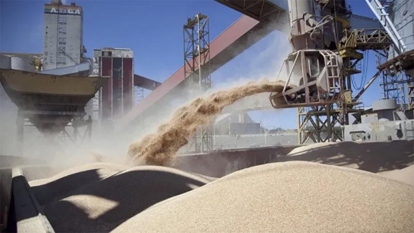 Argentina abri&oacute; un mercado clave para su trigo y para todo el sector cerealero
