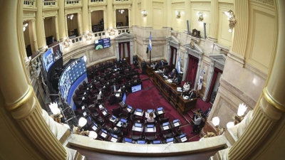 Senado convirti&oacute; en ley el proyecto que refinancia deudas de las provincias con Anses