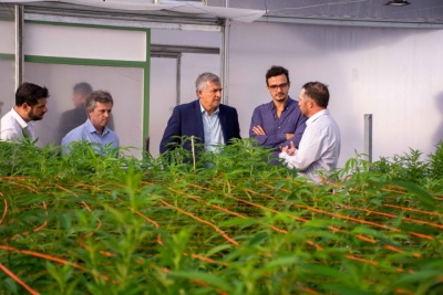 &ldquo;ESTE A&Ntilde;O FABRICAREMOS EL PRIMER ACEITE DE CANNABIS MEDICINAL DE LA REP&Uacute;BLICA ARGENTINA&rdquo;