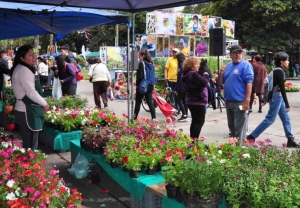 Este viernes comienza la 16&deg; edici&oacute;n de &ldquo;La Flor M&aacute;s Bella&rdquo;