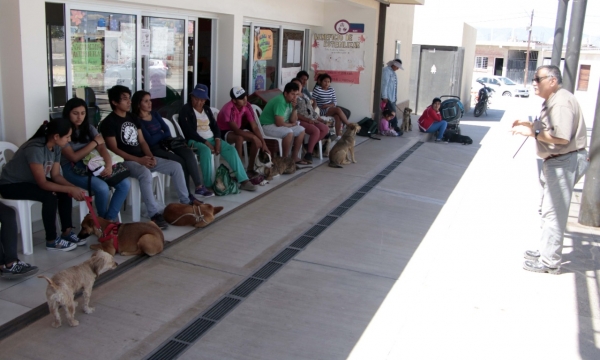 CAMPA&Ntilde;A DE CASTRACI&Oacute;N