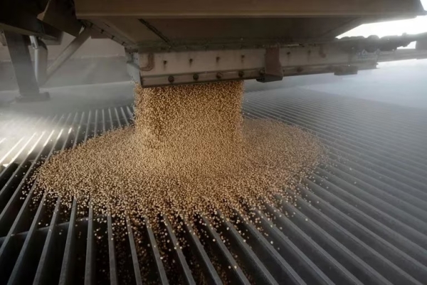 El ingreso de agrod&oacute;lares es m&aacute;s bajo que en abril y los productores retienen a la espera de un valor m&aacute;s alto