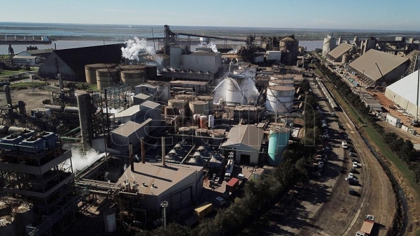 Imputan por estafa a directivos de Vicentin