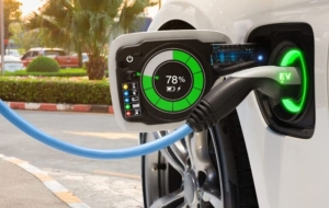 Veh&iacute;culos h&iacute;bridos y el&eacute;ctricos. Municipalidad fija beneficios impositivos