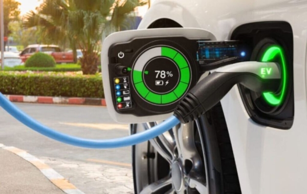 Veh&iacute;culos h&iacute;bridos y el&eacute;ctricos. Municipalidad fija beneficios impositivos