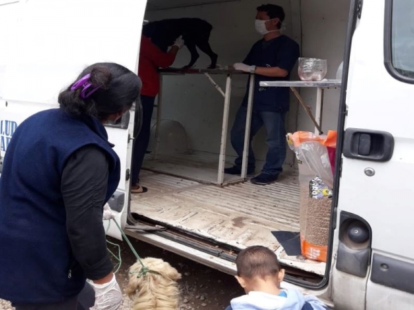 Zoonosis asisti&oacute; a mascotas en B&deg;Chijra