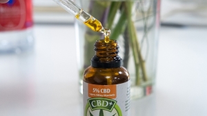 La Corte aval&oacute; el control estatal para autocultivo de cannabis para uso medicinal