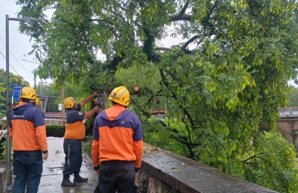 Intenso operativo en respuesta a las tormentas