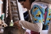 El 95% de los casos de dengue se presenta con s&iacute;ntomas