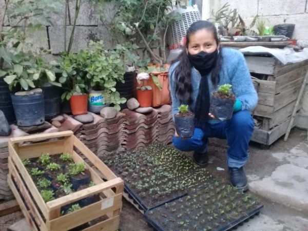 Contin&uacute;an desarrollando el Programa "Huertas Comunitarias"