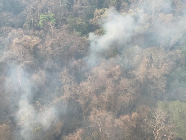 Siguen los incendios en Jujuy y anuncian la llegada de m&aacute;s brigadistas