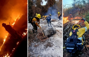 Jujuy registró 101 incendios forestales durante septiembre