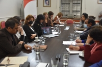 La Legislatura trabaja en la adhesi&oacute;n a la ley de oncopediatria