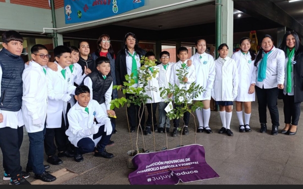 Por el ambiente , 6000 &aacute;rboles plantados