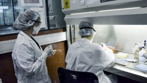 Coronavirus en Argentina: confirmaron 84 muertes y 4.430 contagios en las &uacute;ltimas 24 horas