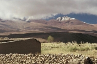 Ancestro del Cha&ntilde;i regresa a Jujuy despu&eacute;s de 119 a&ntilde;os