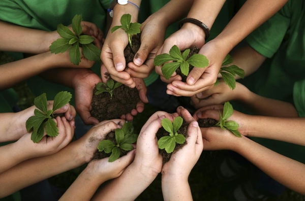 Jujuy convoca a docentes a presentar proyectos de Educaci&oacute;n Ambiental y hacerlos visible