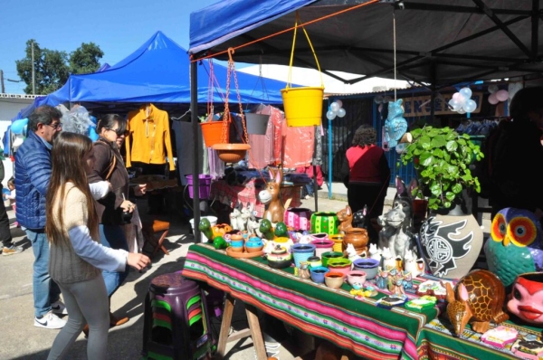 Lanzaron el nuevo Mercado de Pulgas