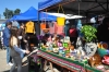 Lanzaron el nuevo Mercado de Pulgas