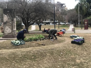 Trabajos preventivos y de mantenimientos en Plazas