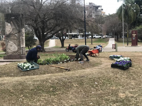Trabajos preventivos y de mantenimientos en Plazas