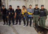 Volcan.Ambiente envía un ejemplar de cóndor andino a Bs. As