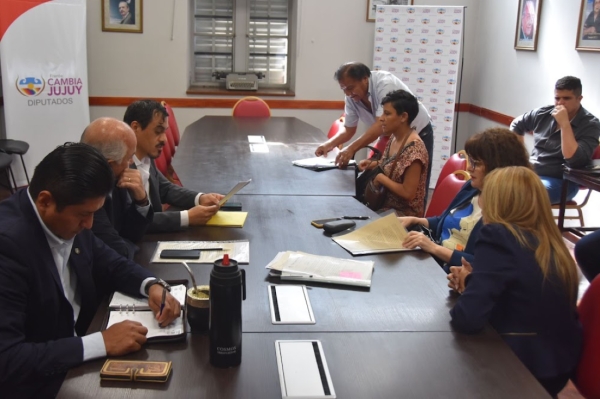 Capacitaci&oacute;n obligatoria en discapacidad.Diputados tratan ley
