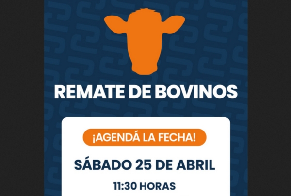 Remate ganadero en Jujuy: convocan a productores