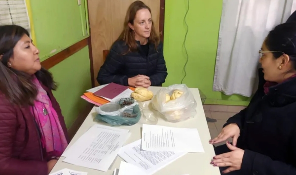 Acciones para Mejorar la Calidad de los Vegetales