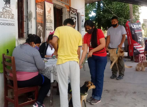 As&iacute; continua la campa&ntilde;a de vacunaci&oacute;n antirr&aacute;bica