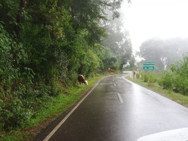 Jujuy y Salta cierran la ruta 9 por "La Cornisa"