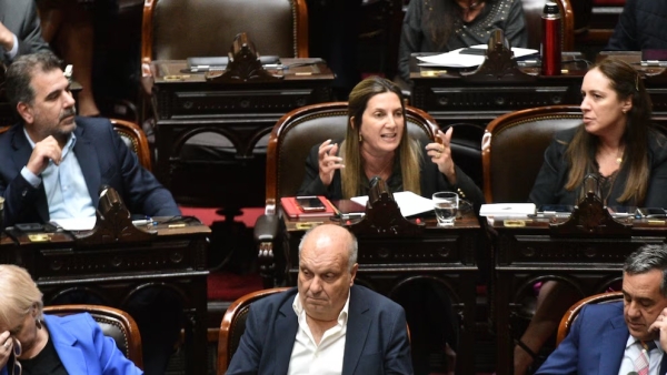 Con el apoyo del oficialismo y la UCR, el PRO volvi&oacute; a convocar a una sesi&oacute;n para tratar Ficha Limpia en Diputados