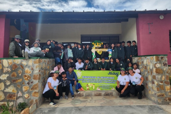 Consumos problem&aacute;ticos en escuelas secundarias