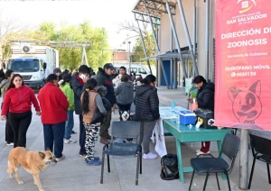 Zoonosis contin&uacute;a con el quir&oacute;fano externo