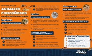 Verano saludable: c&oacute;mo prevenir picaduras de animales ponzo&ntilde;osos